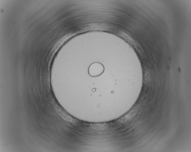 X0000072520836200608041530