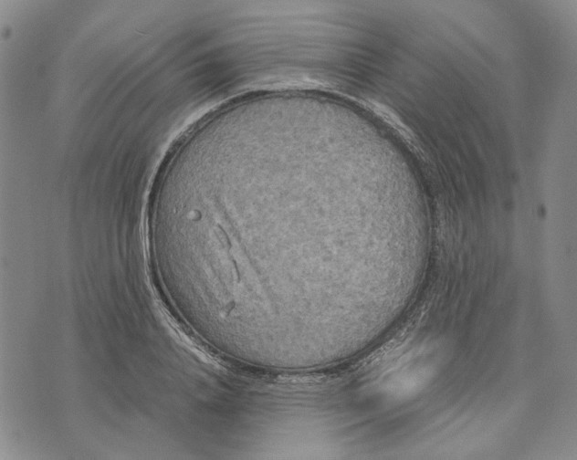 X0000072520840200608041530