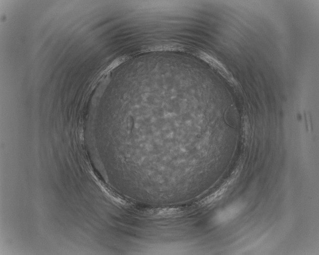 X0000072520841200608041530