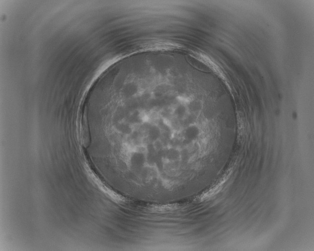 X0000072520843200608041530