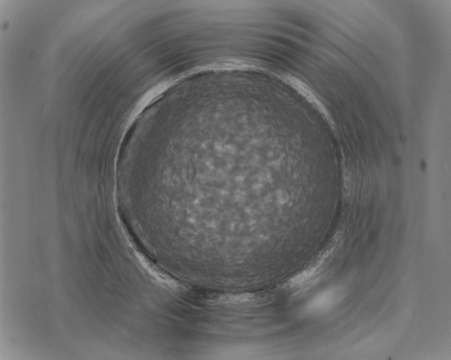 X0000072520845200608041530