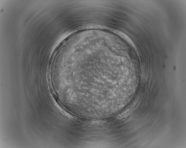 X0000072520847200608041530