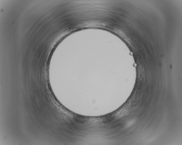 X0000072520848200608041530