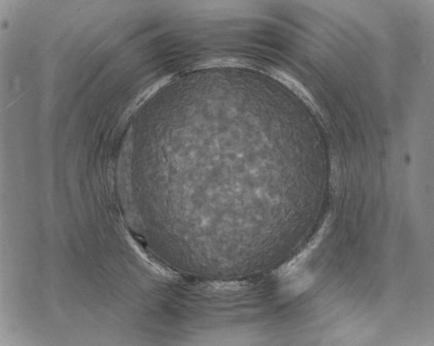 X0000072520849200608041530