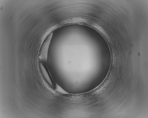 X0000072520850200608041530