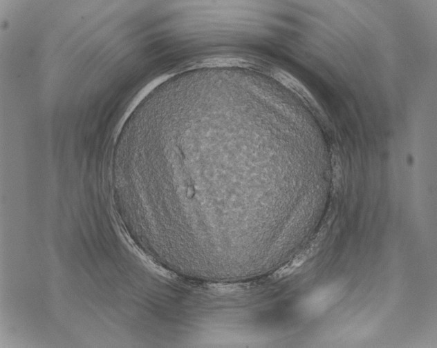 X0000072520852200608041530