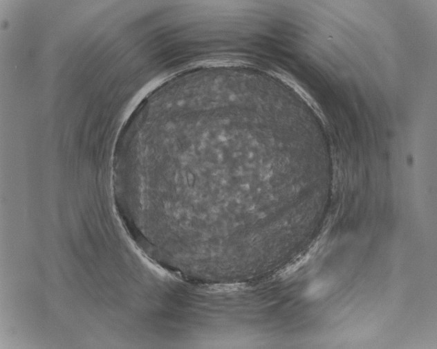 X0000072520853200608041530