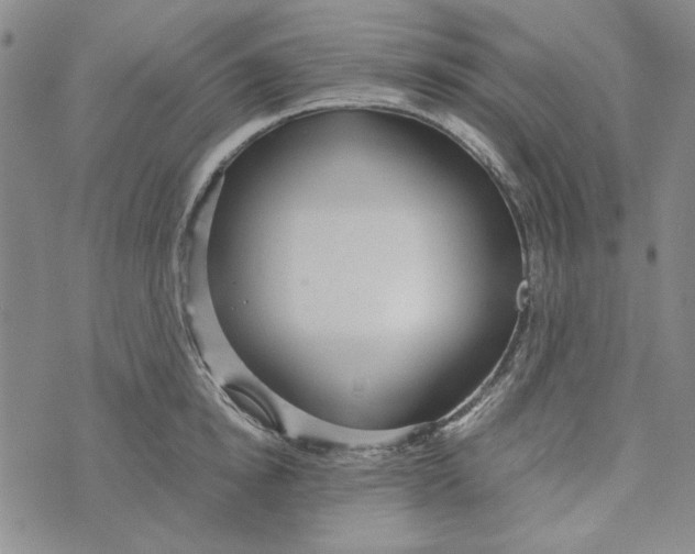 X0000072520854200608041530