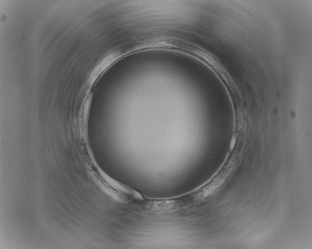 X0000072520858200608041530