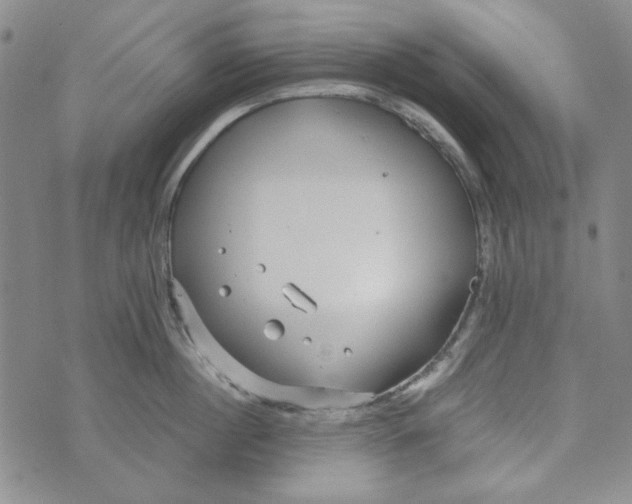 X0000072520860200608041530