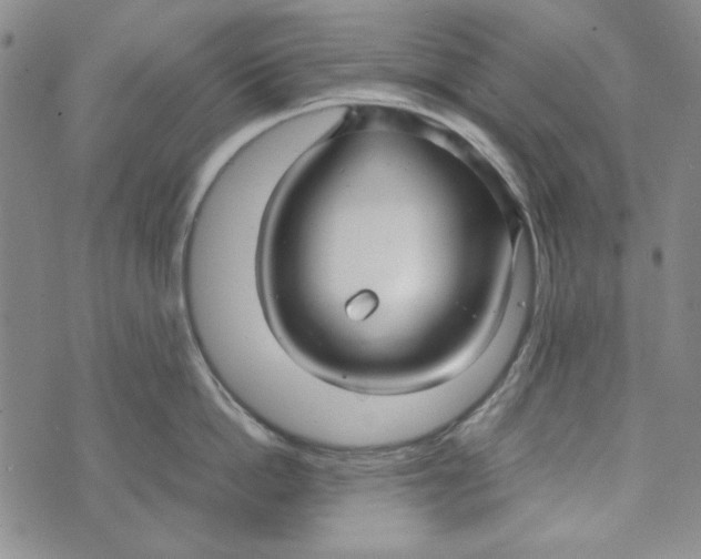 X0000072520862200608041530