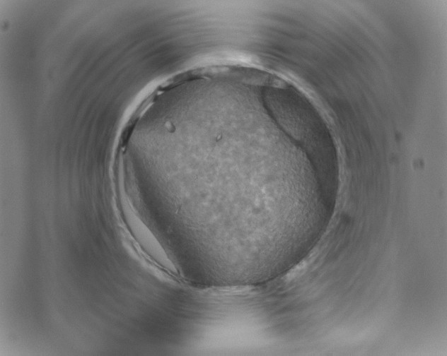 X0000072520864200608041530