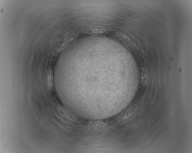 X0000072520866200608041529