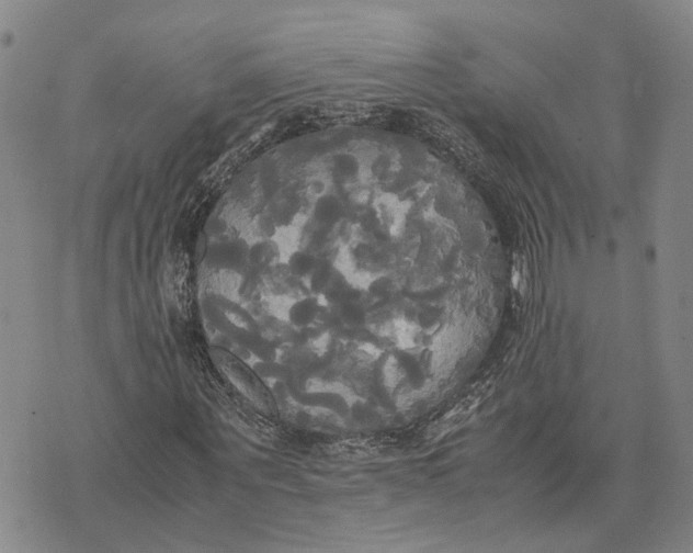 X0000072520867200608041529