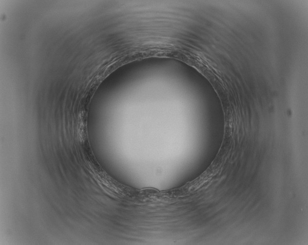 X0000072520868200608041529