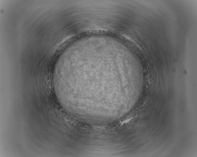 X0000072520870200608041529