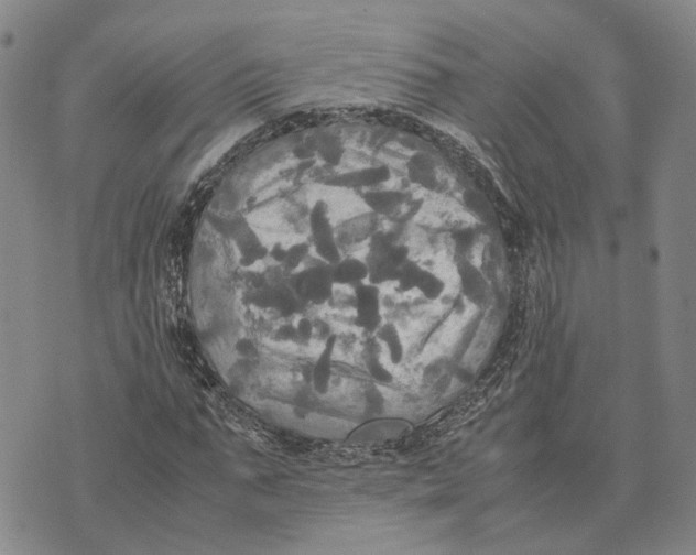 X0000072520871200608041529