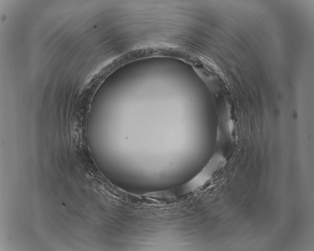 X0000072520872200608041529