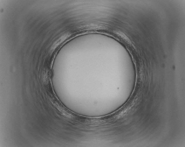 X0000072520873200608041529