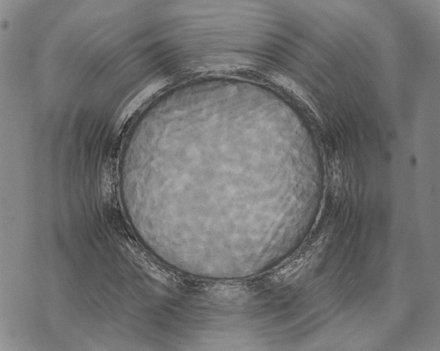 X0000072520874200608041529