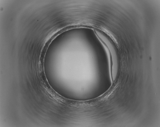 X0000072520876200608041529