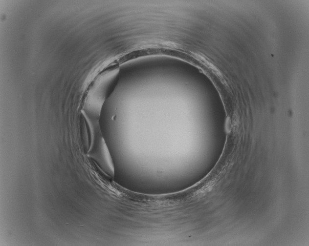 X0000072520877200608041529