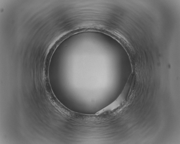 X0000072520880200608041529