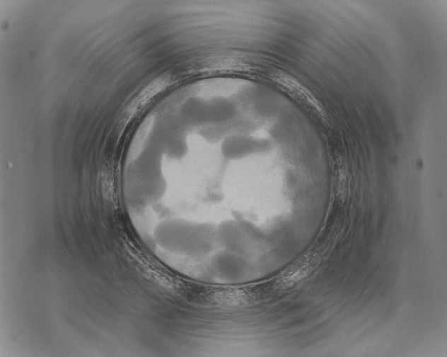 X0000072520882200608041529