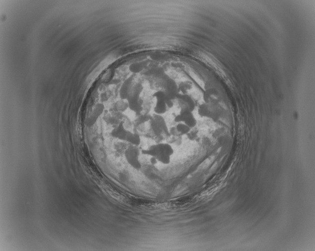 X0000072520883200608041529