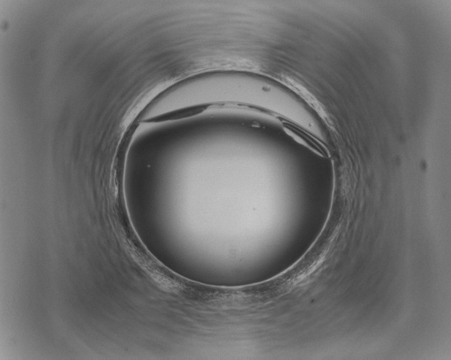 X0000072520885200608041529