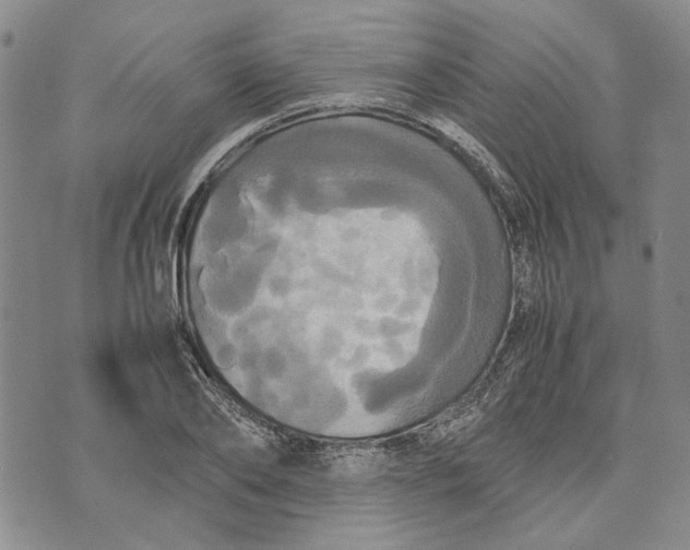 X0000072520886200608041529