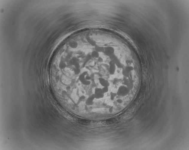 X0000072520887200608041529