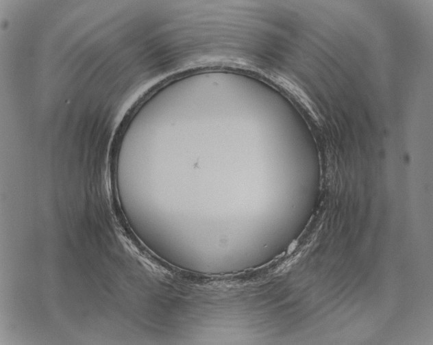 X0000072520888200608041529