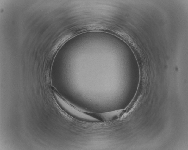 X0000072520889200608041529