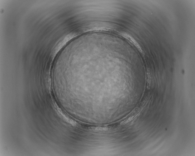 X0000072520890200608041529