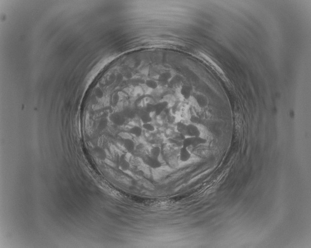 X0000072520891200608041529