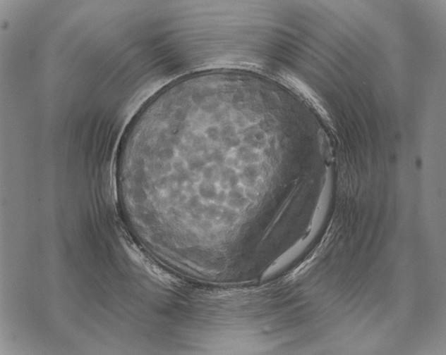 X0000072520892200608041529