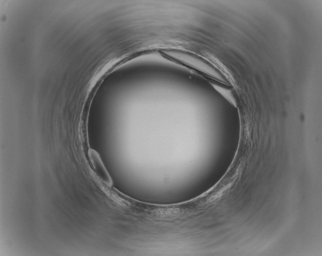 X0000072520893200608041529