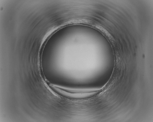 X0000072520894200608041529