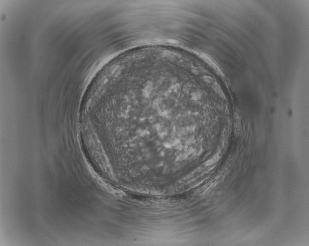 X0000072520895200608041529