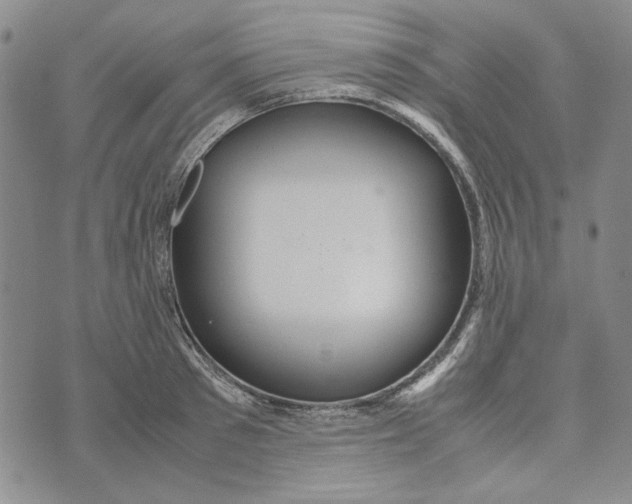 X0000072520897200608041529