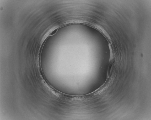 X0000072520898200608041529