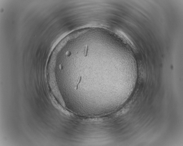 X0000072520900200608041529