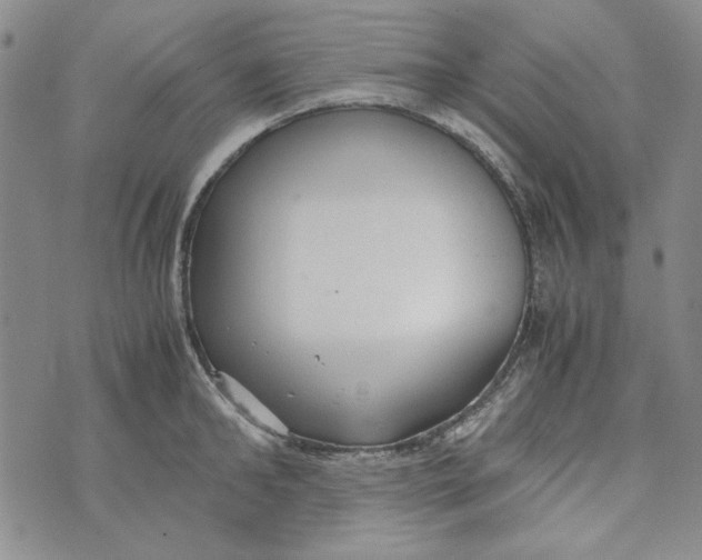 X0000072520902200608041529