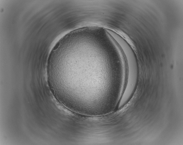 X0000072520904200608041529