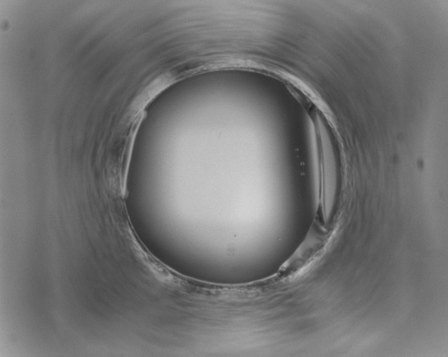 X0000072520905200608041529