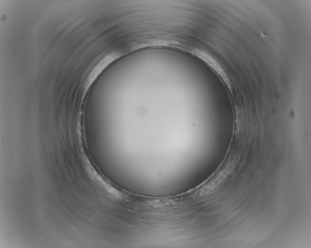 X0000072520906200608041529