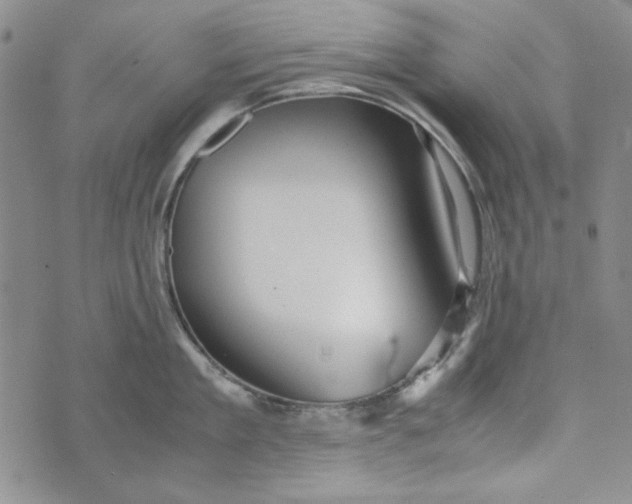 X0000072520909200608041529