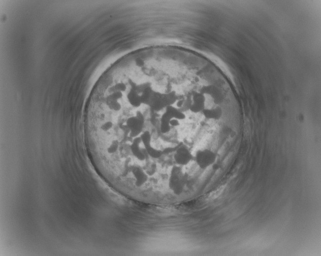 X0000072520911200608041529