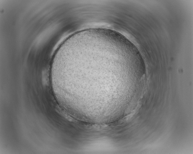 X0000072520912200608041529